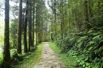 Obraz premium beauty of Yilan Taiwan