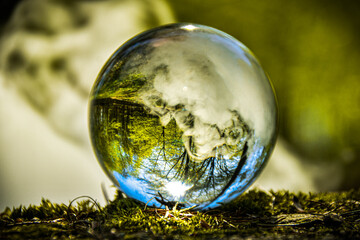 Glaskugel im Wald mit Nebel