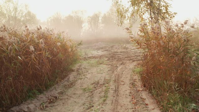 Dolly In flying drone over pit-washed dirt road with funnels from shells. The paved road with pits and craters from the explosions at Misty Autumn Morning on Donbas.