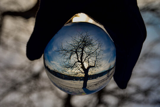 Glaskugel mit einem Baum im Winter 