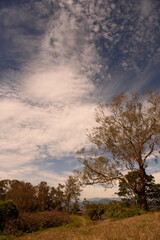 Fototapeta na wymiar Parque natural las nubes en Jerico 