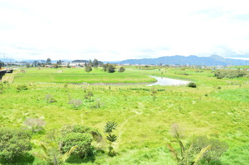 rio campo pasto sabana 