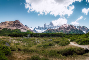 Fototapeta na wymiar Forests and mountains of Patagonia in South America