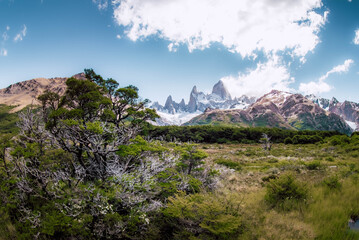 Forests and mountains of Patagonia in South America