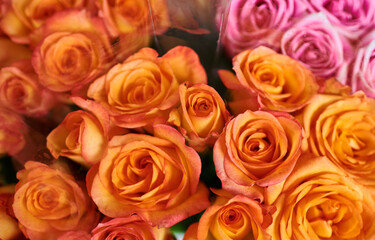 Beautiful bouquets of red, pink and yellow roses in a flower shop. A bright mix of flowers. Handsome fresh bouquets. Flowers delivery. Floral shop concept . Selective focus.