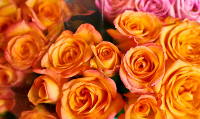 Beautiful bouquets of red, pink and yellow roses in a flower shop. A bright mix of flowers. Handsome fresh bouquets. Flowers delivery. Floral shop concept . Selective focus.