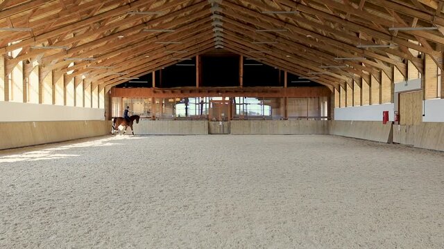 Person riding horse in riding hall. Troting, diagonal, circle. Sunlight through windows.