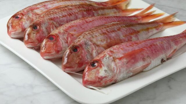 Fresh raw red mullets on a plate close up