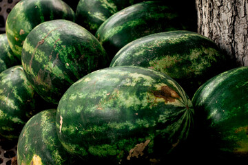 Mercado de Sandias Verdes 