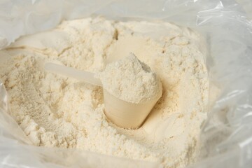 whey protein 