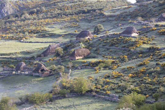 old stone and straw huts called "teitos"