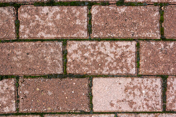 Texture of paving tiles burgundy color. Section of the track in the park.Texture of the track or tile on the wall, background, blank for designers. Background of burgundy rectangles