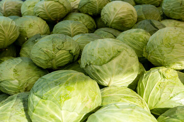Fototapeta na wymiar Fresh organic heads of cabbages on the farmers market. Close-up cabbage background.