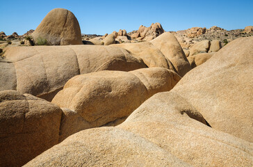 Joshua Tree National Park