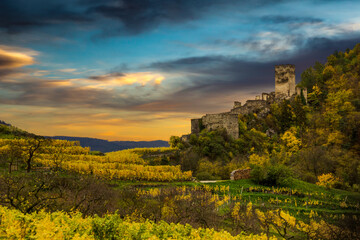 Autumn vineyards under old ruin of Hinterhaus castle in Spitz. Wachau valley. Lower Austria.