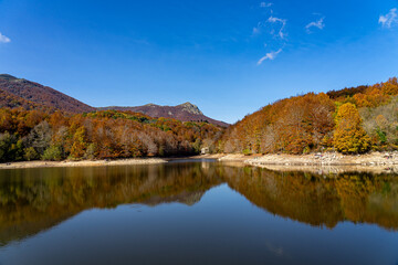 Fototapeta na wymiar Montseny deep forest colorful autumn in Catalonia, Spain.
