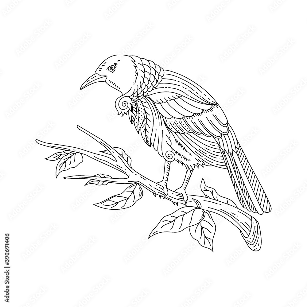 Wall mural Outline Hand Drawn Tui Bird Adult Coloring