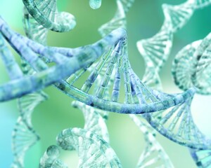 Deoxyribonucleic acid, DNA helix, genetic development program