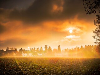 Waldtrudering im Herbst 2