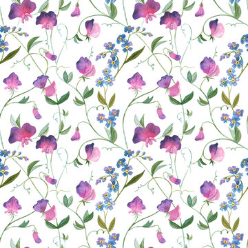 Sweet pea and forget-me-not watercolor seamless pattern. Wild and garden flowers textile background. Delicate floral decoration.