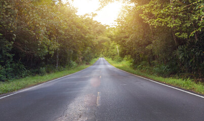 Fototapeta premium landscape road to the jungle