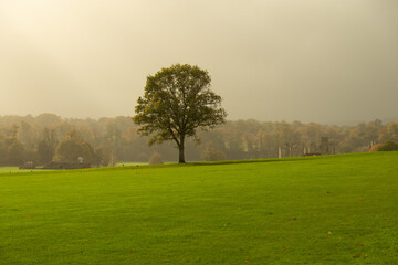 Overcast walk around Cowdray Ruins, Midhurst, West Sussex