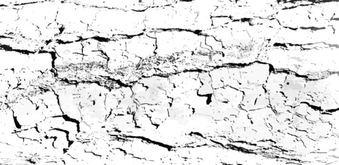 Black and white cracked tree bark textured surface with rough scratchy texture.