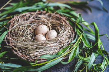 Obraz premium Easter card concept