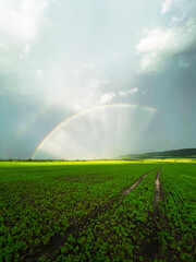 Landscape outside the city. Magic rainbow in the field