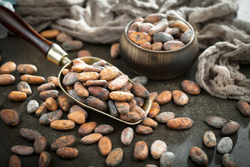 Cocoa beans on old background