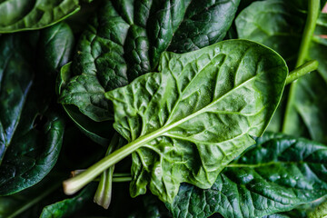 Organic food concept with fresh spinach