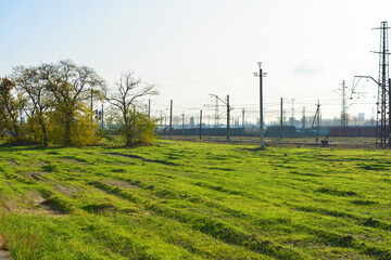 Bright, juicy, beautiful grass with careless hills and paths. Green meadow with trees lit by the...
