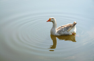 Cuyahoga Valley National Park