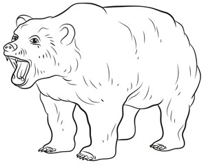 In the animal world. Image of a bear. Black and white drawing, coloring.