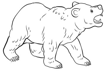 In the animal world. Image of a bear. Black and white drawing, coloring.