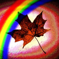 Decorative autumn maple leaf and rainbow on a blurred background