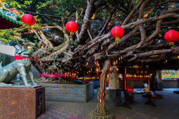 Penghu island (Pescadores) Taiwan October 14, 2019  A huge tree near the temple is decorated with...