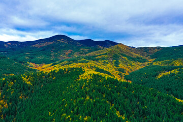 Beautiful autumn landscape, green and yellow trees. Areal flight , drone view from top and above. Fall season in hills.