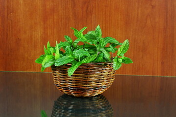 fresh green mint or mentha piperita leaves isolated in basket