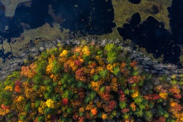 Aerial View on Lake at the forest during Autumn