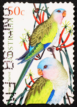 Australian stamp with rare parrots