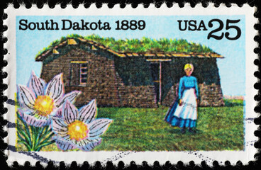 Celebration of South Dakota on old postage stamp
