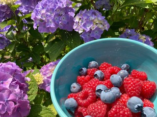berries in a bucket