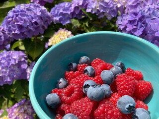 blueberries in a bowl