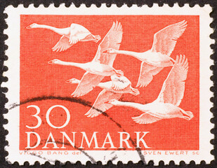 Flying swans on a danish vintage stamp