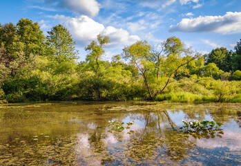 Jamestown Audubon Center and Sanctuary © Zack Frank