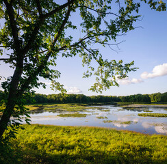 Jamestown Audubon Center and Sanctuary © Zack Frank