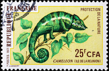 Green chameleon on french postage stamp