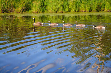 Jamestown Audubon Center and Sanctuary © Zack Frank