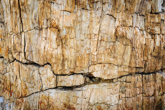 Florissant Fossil Beds National Monument